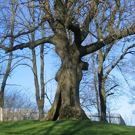 Landgasthof Groh 3* Ulrichstein